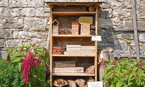 Wildbienenstand im Kräutergarten